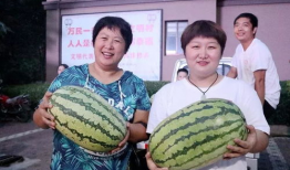 今日吃瓜汇总,娱乐圈热点事件盘点